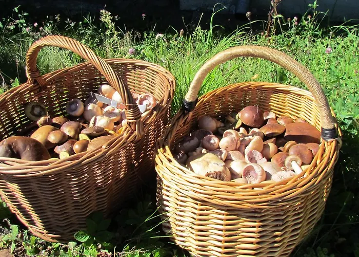 Siedem Wysp * Czarna Dabrowka